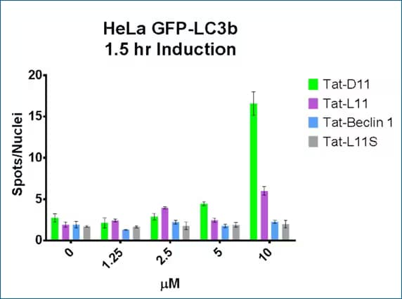 Data of TAT-D11 and Tat-L11 as autophagy inducers