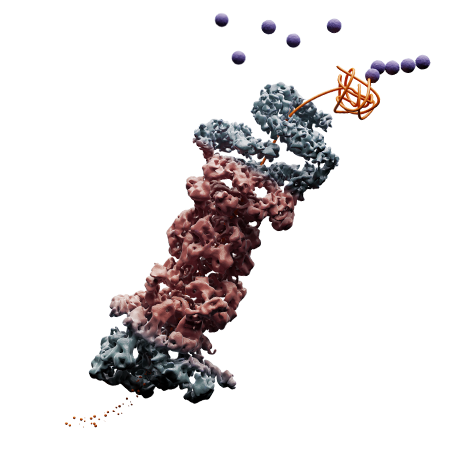 Recombinant Protein graphic