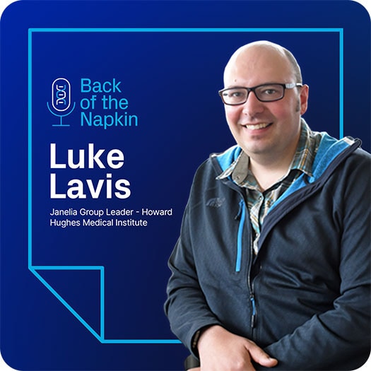 Back of the Napkin Luke Lavis