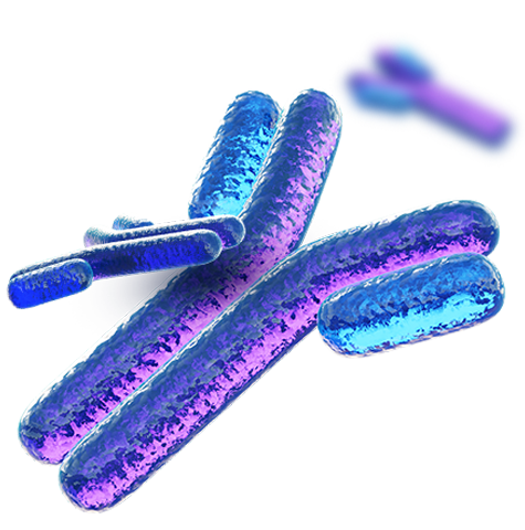 Antibodies