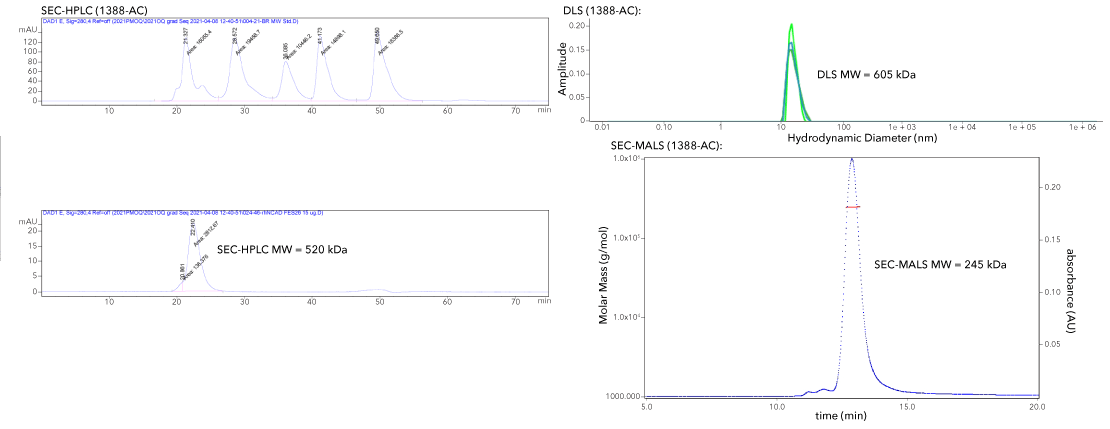 Comparison of graph analyses of SEC-HPLC, DLS and SEC-MALS molecular weight determination
