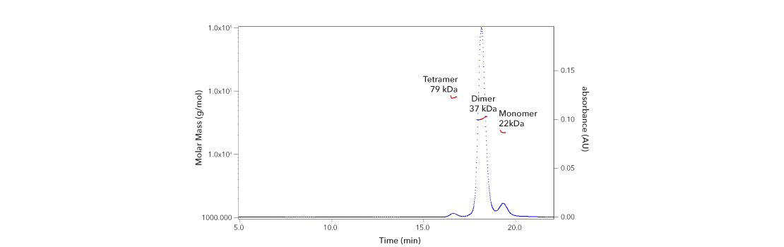 Graph analysis of a protein’s subunit structure by SEC-MALS