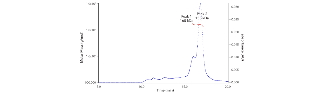 SEC-MALS graph analysis of a biclonal antibody.