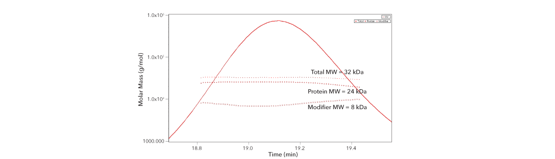 SEC-MALS graph analysis of rhGDNF protein molecular weight in addition the the molecular weight of its glycosylation modifier 