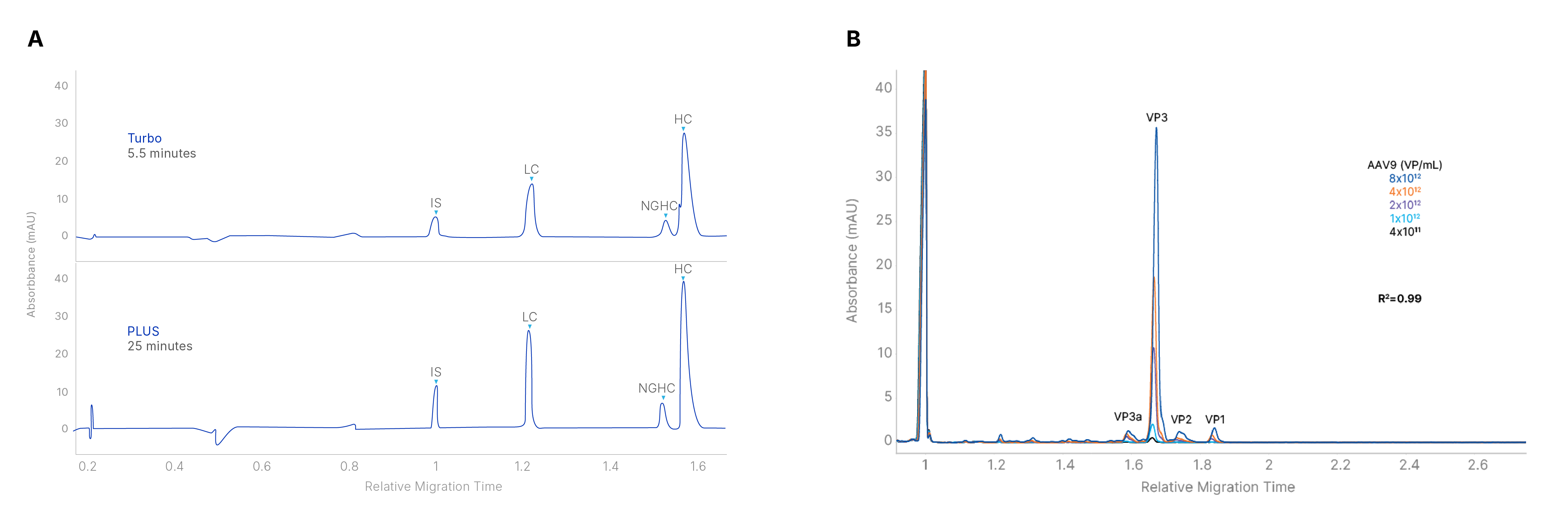 CE-SDS on Maurice Systems 