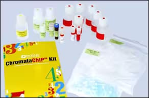 ChromataChIP Kit Components