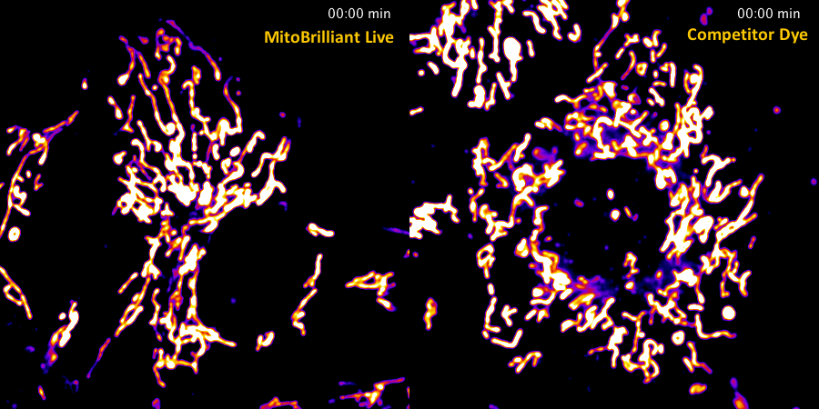 Mitobrilliant live imaging GIF