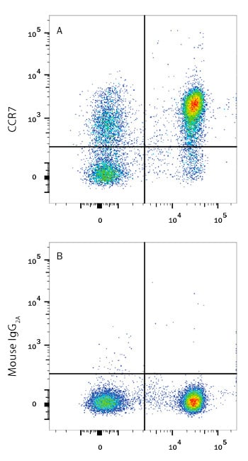CCR7 antibody binds to endogenously expressed CCR7.
