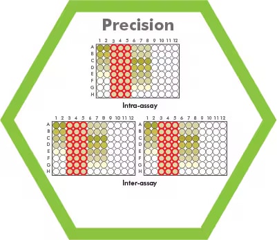 Figure 3: ELISA precision through intra-assay and inter-assay variability