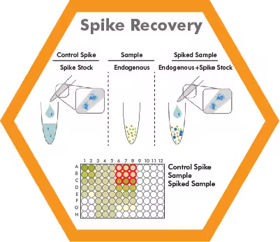 Figure 4: ELISA spike recovery