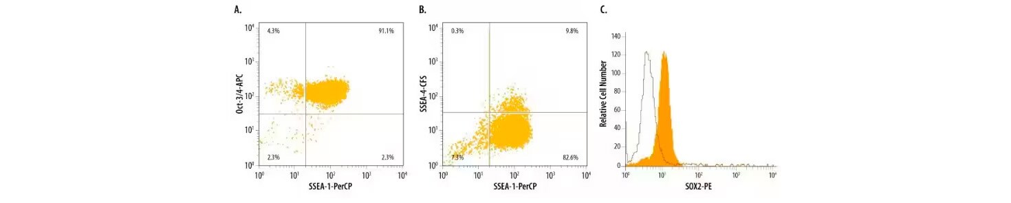 Flow cytometry analysis of Mouse D3 embryonic stem cells