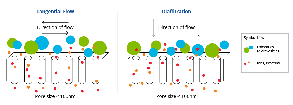 Tangential flow filtration and diafiltration principles infographic