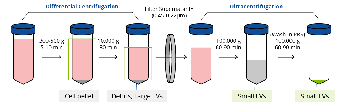 Differential centrifugation and ultracentrifugation assay principle graphic