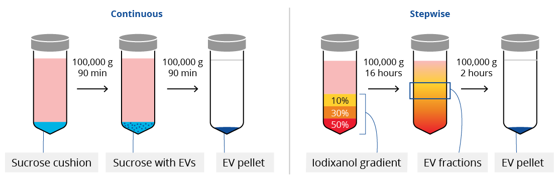Continuous and stepwise density gradient centrifugation principle graphic
