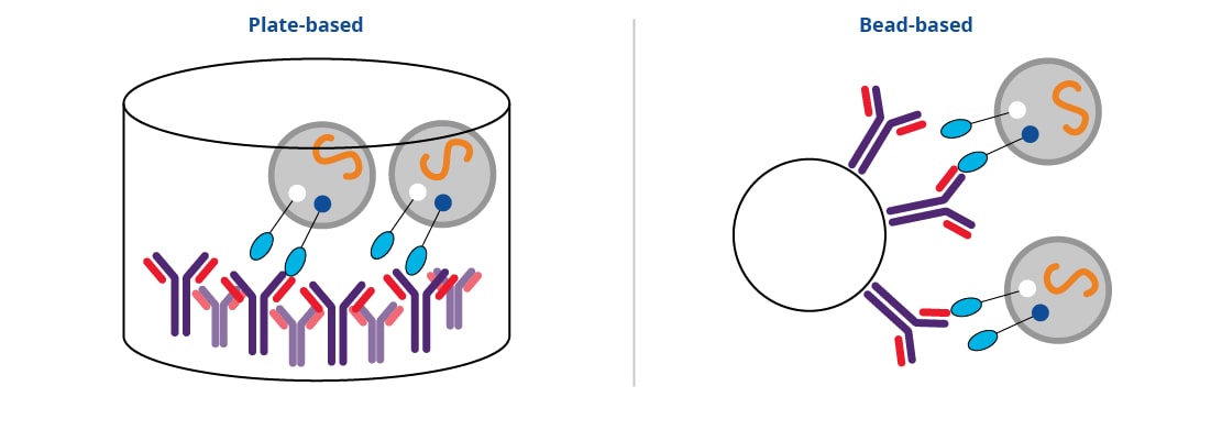 Plate-based and bead-based Immunoaffinity Capture principle graphic