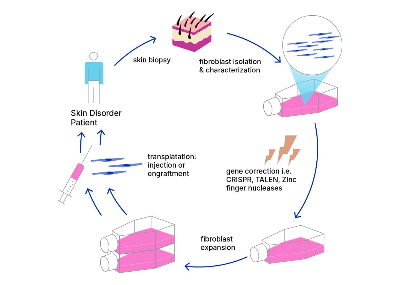 Regenerative Medicine & Tissue Engineering infographic