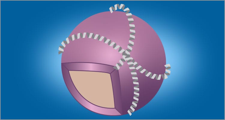 Lipoprotein Particle Metabolism 