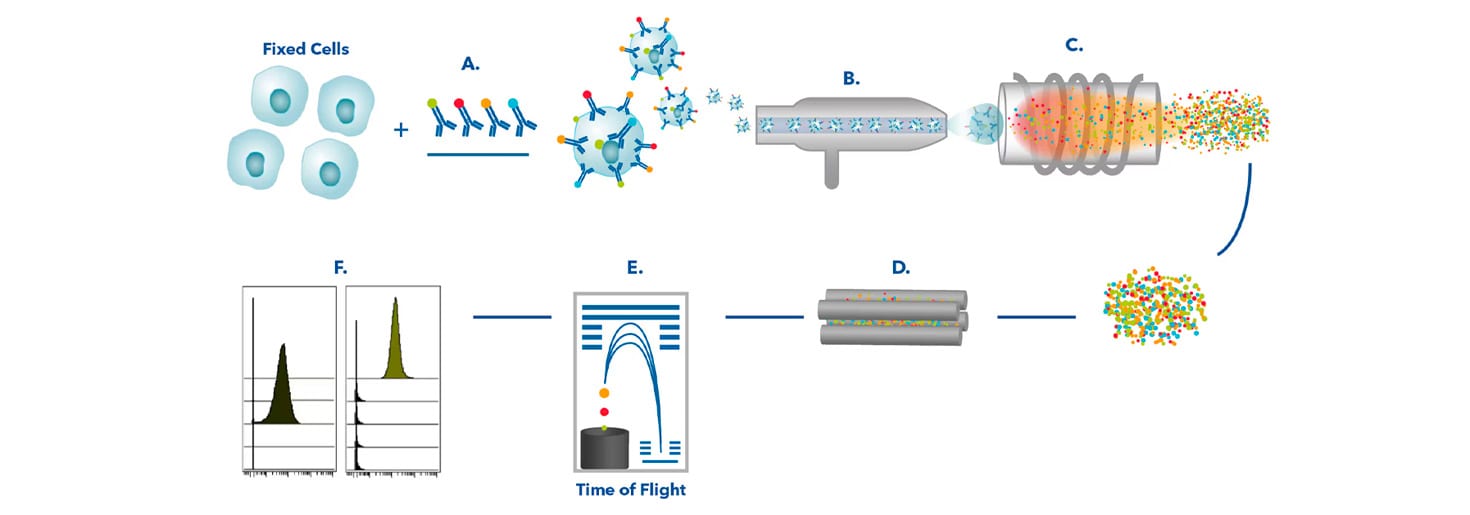 Figure 1: Mass Cytometry Basics
