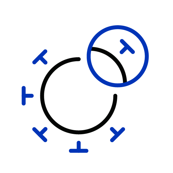Cell with multiple markers on the surface