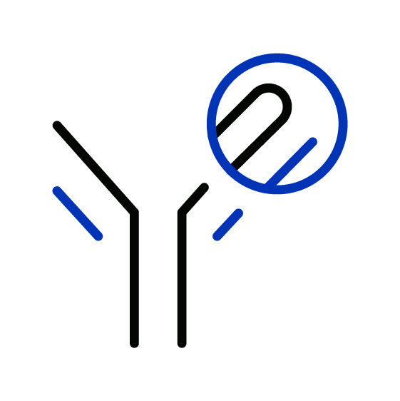 Antibody with the antigen recognition domain highlighted