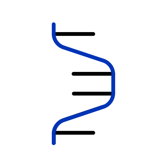 Piece of RNA