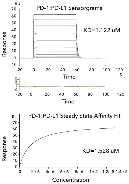 Affinity measurements and binding kinetics of the PD-1:PD-L1 interaction by SPR