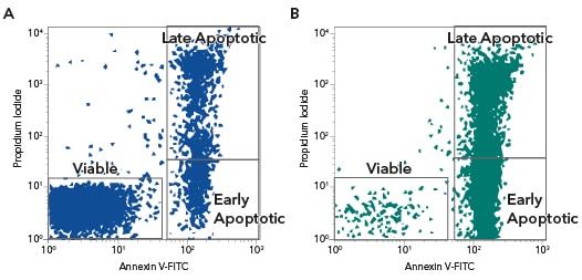 Detection of Apoptotic Dexamethasone-treated Thymocytes by Annexin V Staining