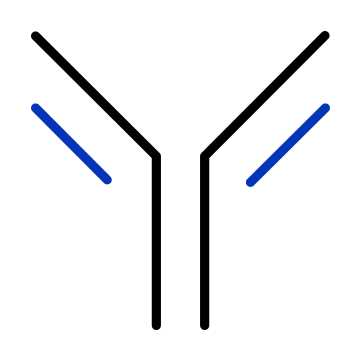 Primary Antibodies Icon