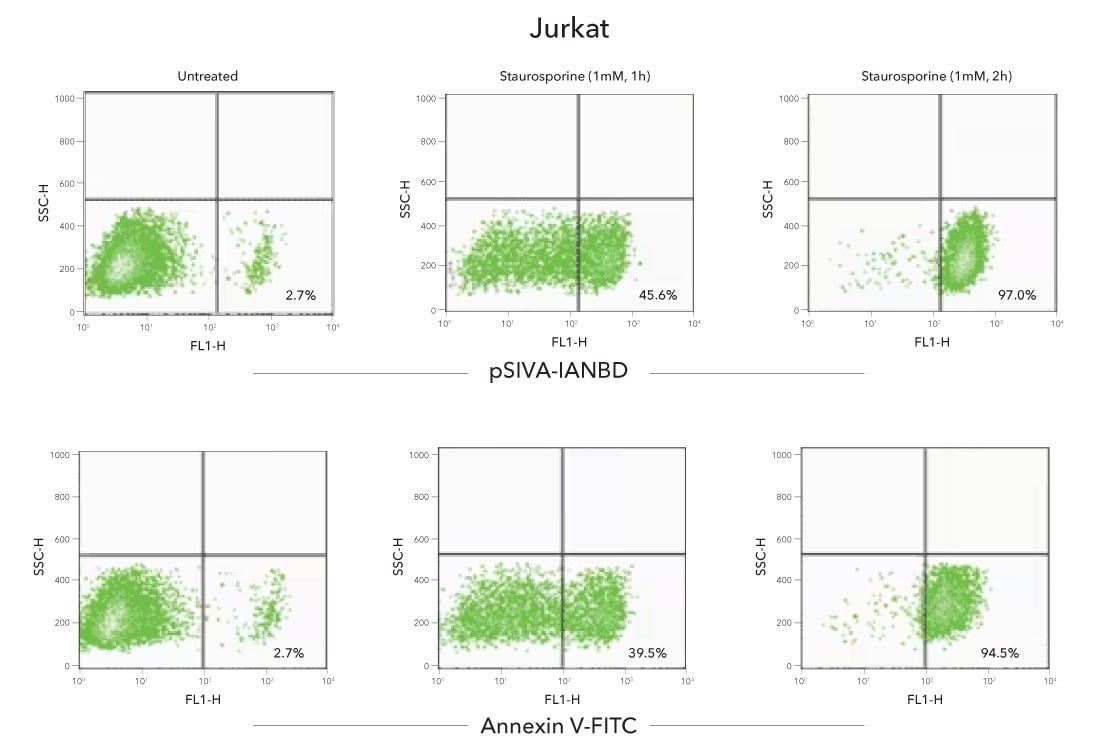 Comparison of pSIVA-IANBD and Annexin V-FITC in Flow Cytometry