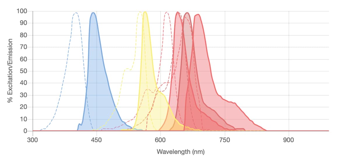 Spectral viewer example chromatograph.