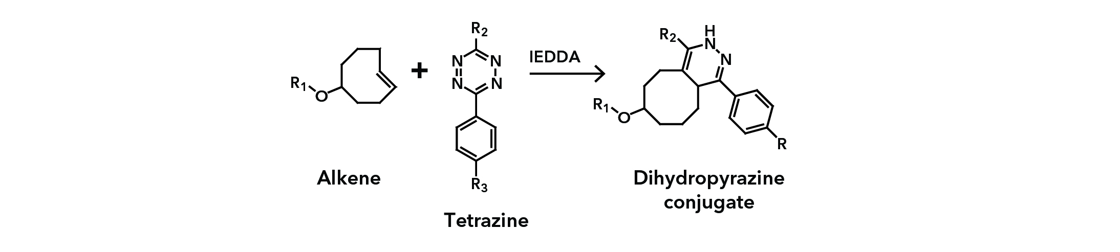 Tetrazine ligation based on Inverse-Electron-Demand Diels-Alder (IEDDA) chem