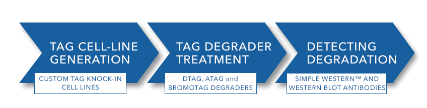 TAG degradation workflow