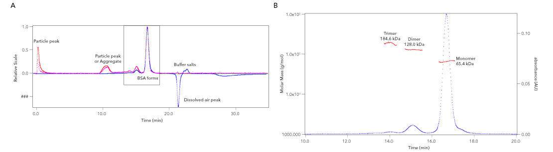 Example SEC-MALS analysis image showing the separation of the monomer-dimer-trimer species of BSA.