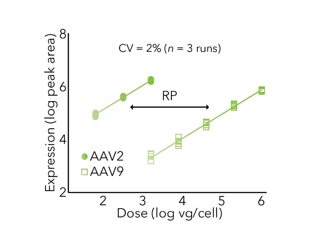 Relative protein expression potency assay of AAV2 and AAV9 using Simple Western