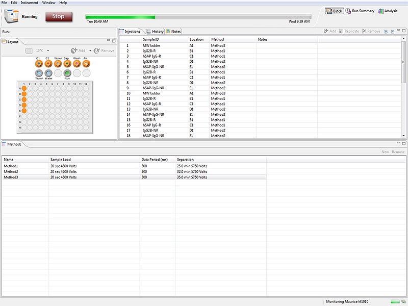 Compass iCE software batch set up for CE-SDS analysis