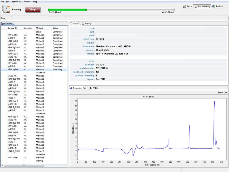Run multiple methods in the same CE-SDS batch with Compass ICE software
