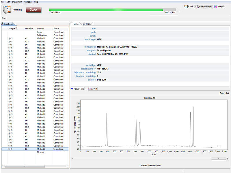Run multiple methods in the same cIEF batch on Maurice using Compass iCE software