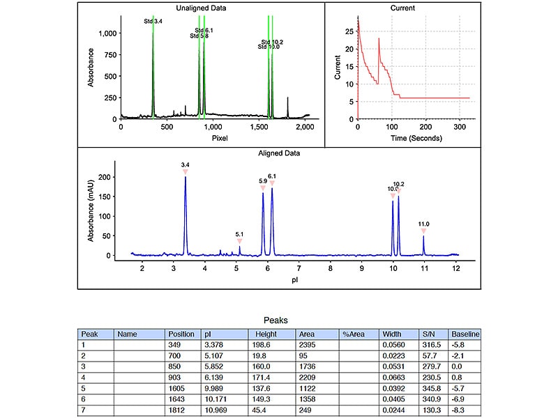 Compass software Maurice ICE injection report