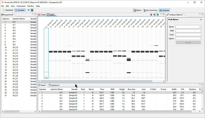 Compass software lane view with iCE instrument Maurice from Protein Simple
