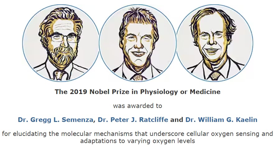 2019 Nobel Prize in Physiology or Medicine image