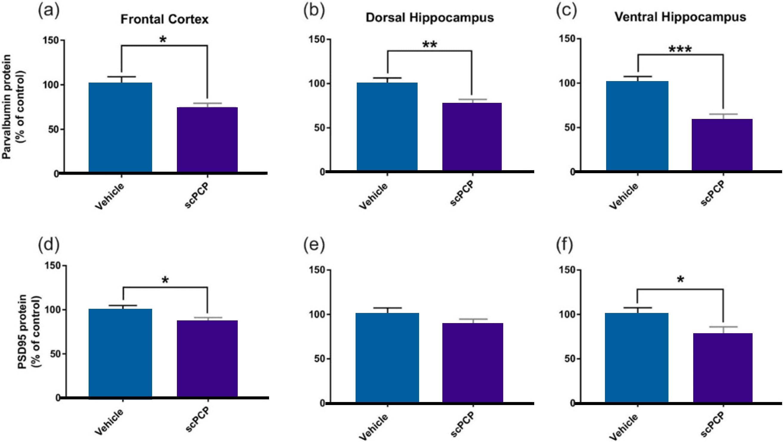 Simple Western assay analysis- Protein expression levels for parvalbumin graph