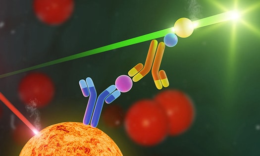 Luminex Multiplex Assays 