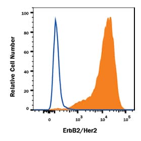 Fluorescent conjugated antibodies