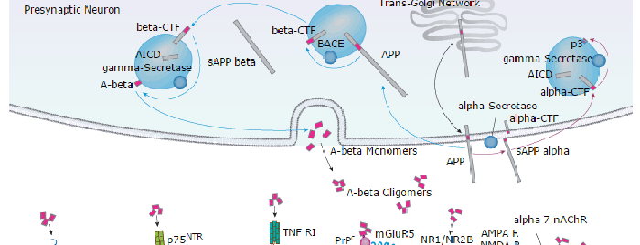 Neuroscience Pathways: R&D Systems