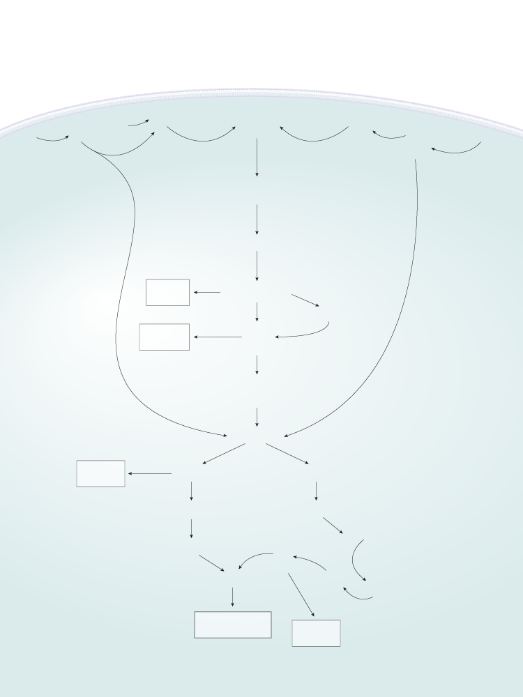 Platelet GP Adhesion Protein Signaling