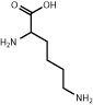 Lysine chemical structure