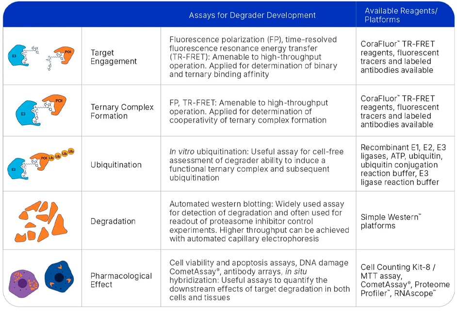 Assays for Degrader Development Table