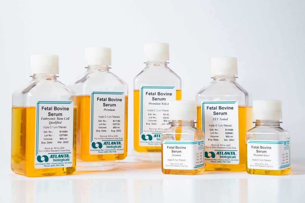 Cell culture workflow solutions with R&D Systems