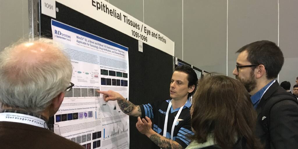 Sociologia cicatrice umorismo isscr poster guidelines frammento