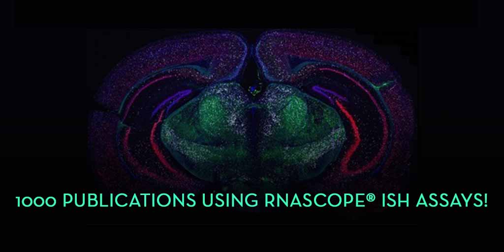RNAScope Has Over 1000 Publications